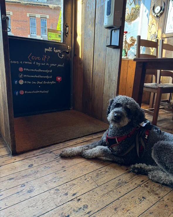 Family and Dog Friendly Restaurant in Faversham
