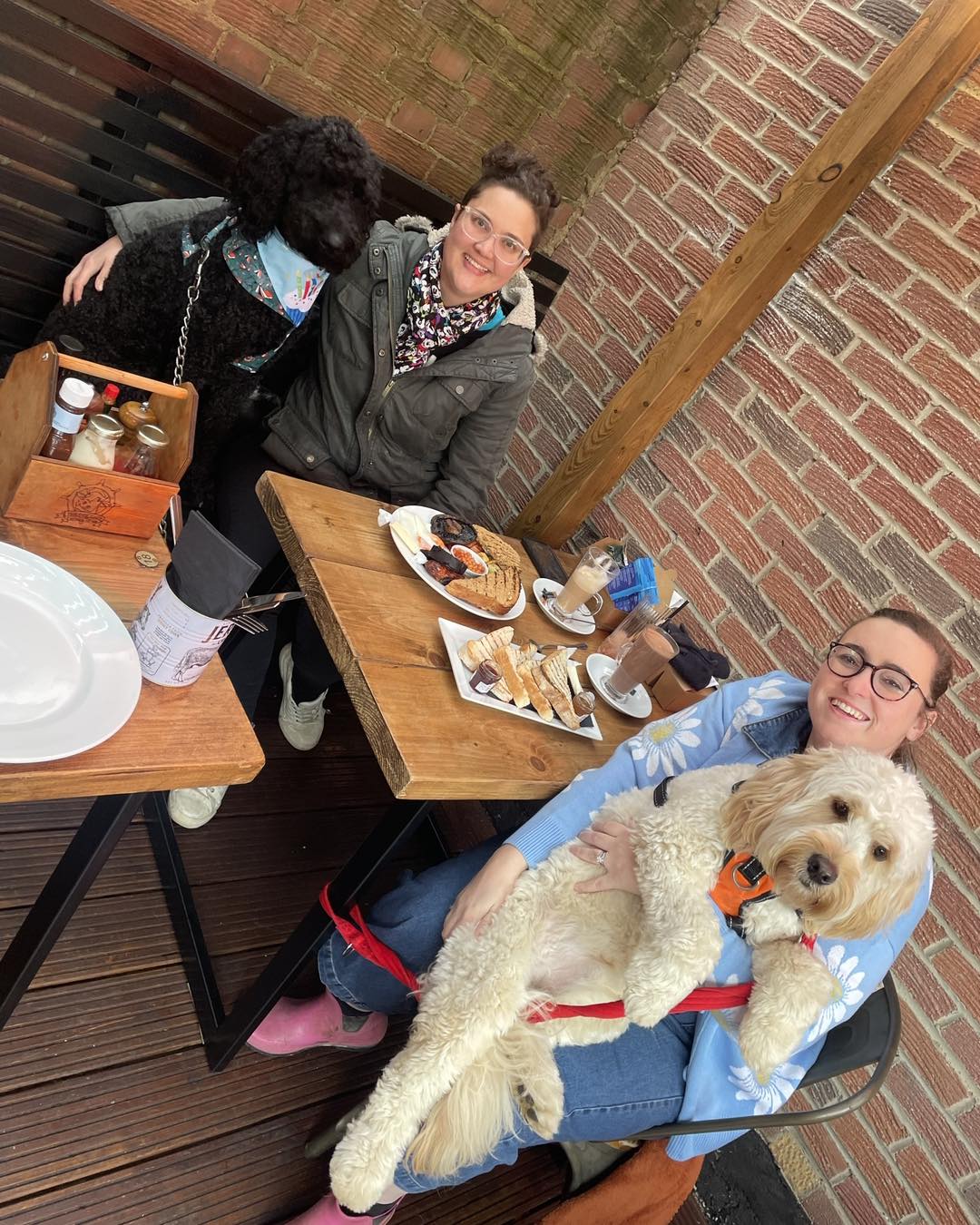 Pubs that accept dogs in Ospringe